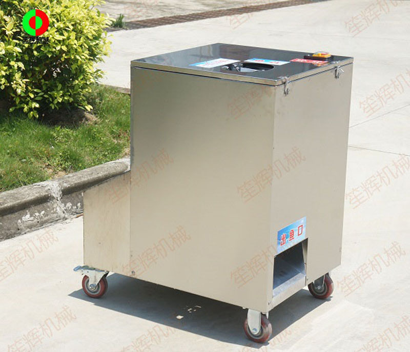 قشارة السمك الكهربائية