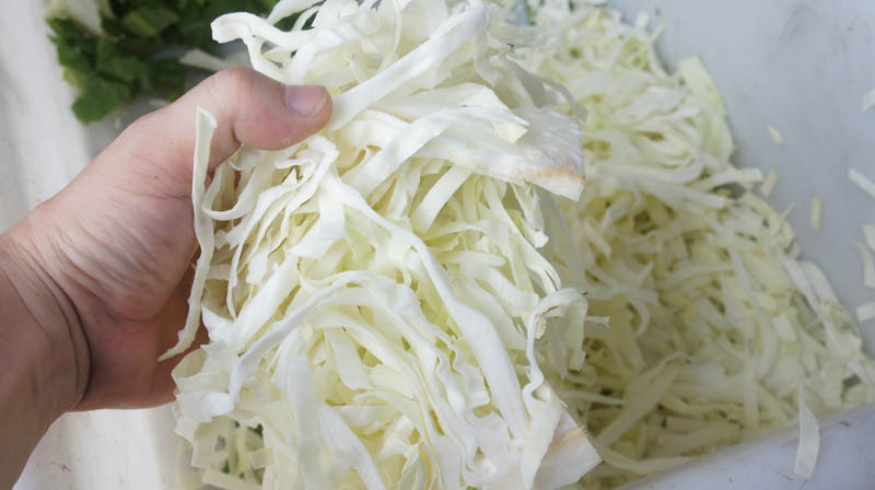 آلة قطع البصل