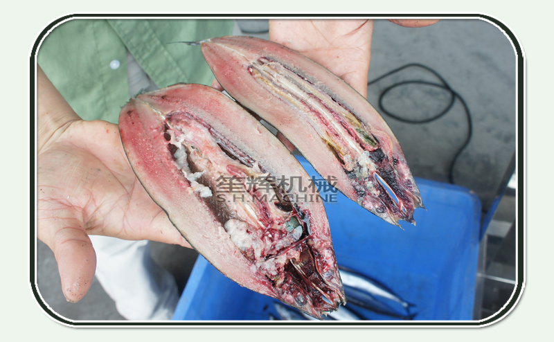 آلة السمك فيليه