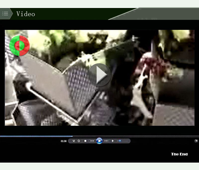 مقياس وزن الغذاء