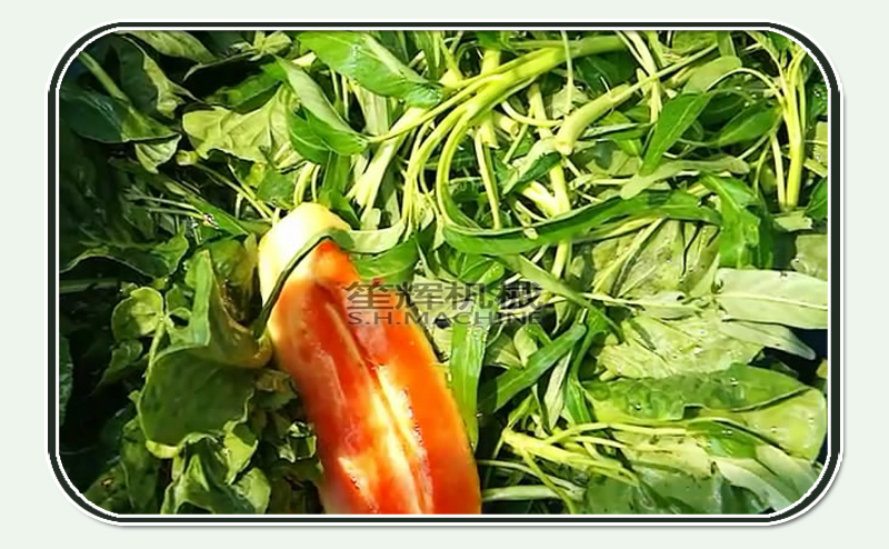 آلة غسيل الفواكه والخضروات