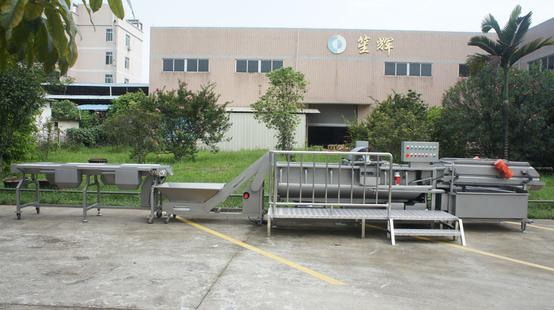 ما ينبغي أن تولي اهتماما عند شراء غسالة الخضروات 1