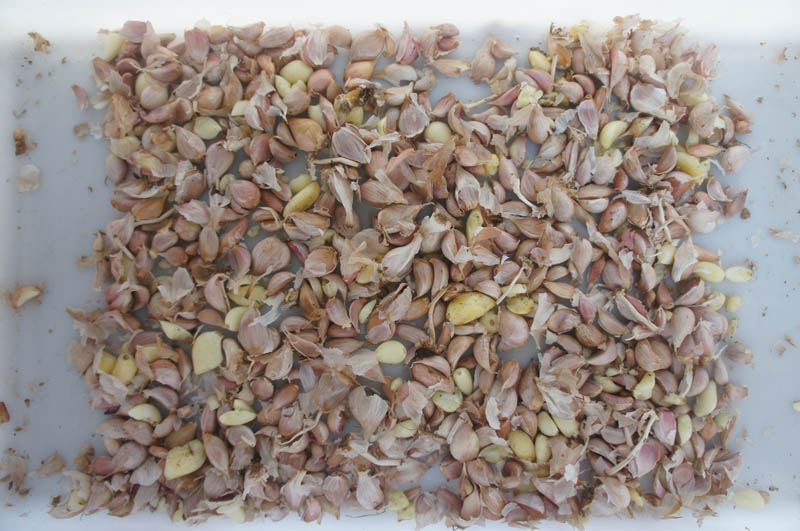 ما هي أنواع تقشير الثوم؟