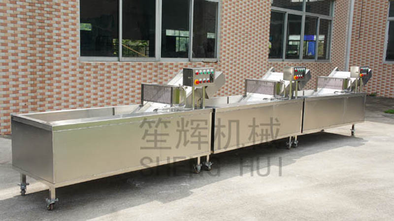 آلة غسل الخضار المستمر للعملاء في جنوب إفريقيا 2