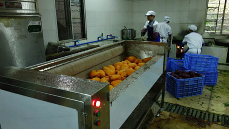 تقوم شركتنا بتوريد معدات تقشير وقطع لمصنع كوري 2