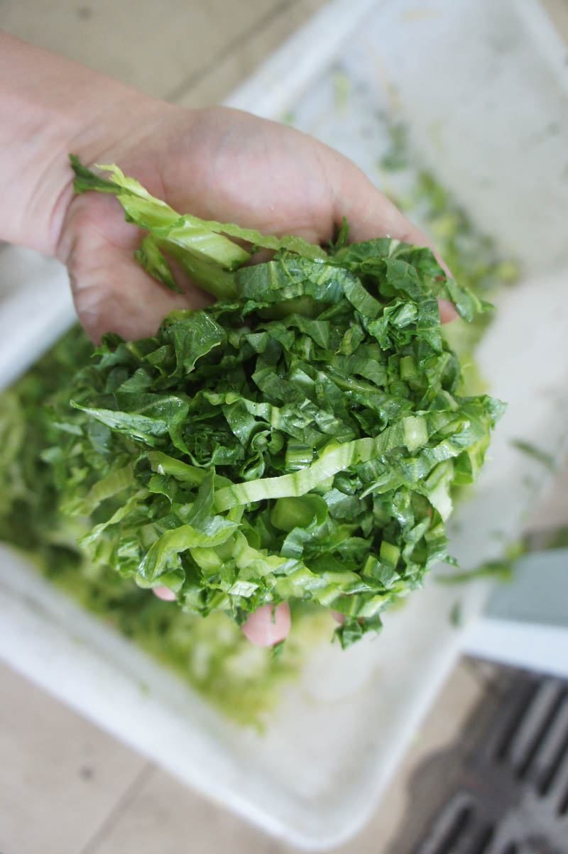 شريحة الفاكهة