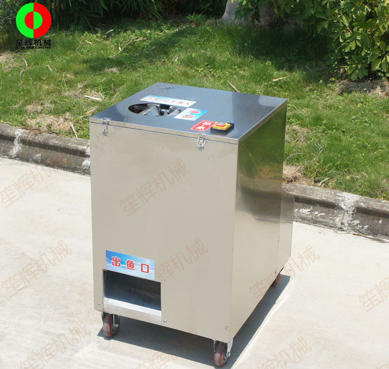 التعامل مع الأسماك