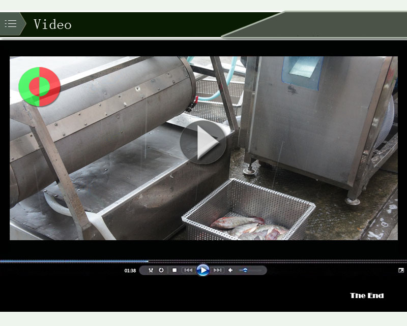 الأسماك skinzit الأسماك البلطي الأسماك تنظيف قشارة skinner descaling المأكولات البحرية خط المعالجة 2