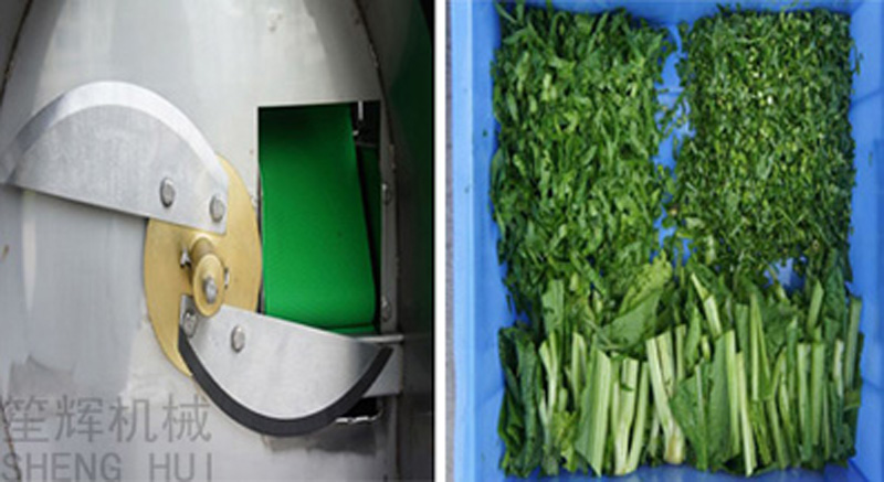 ورقة القاطع