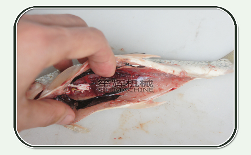 أدوات تنظيف الأسماك