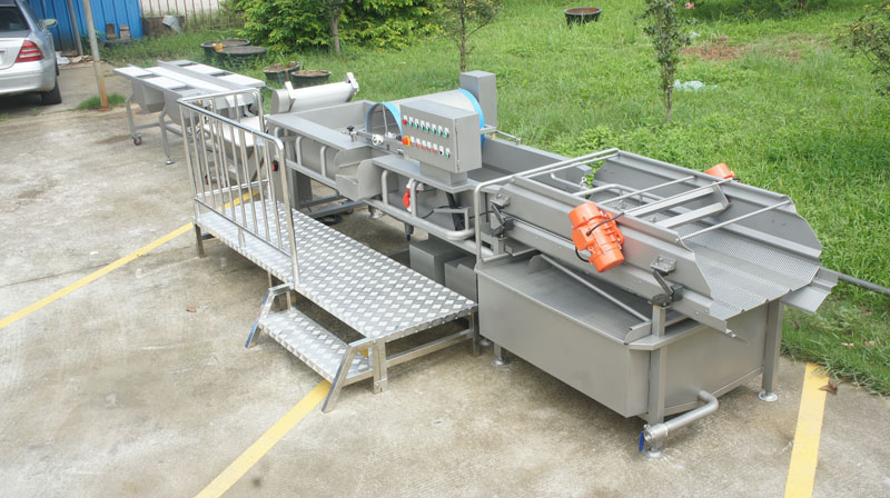 ما ينبغي أن تولي اهتماما عند شراء غسالة الخضروات 3