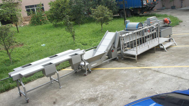 ما ينبغي أن تولي اهتماما عند شراء غسالة الخضروات 2