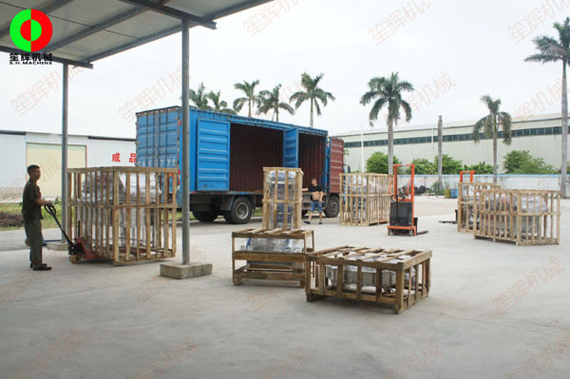 أمر السيد وانغ على الانتهاء السلس من خط إنتاج تنظيف دوامة الخضار والفاكهة