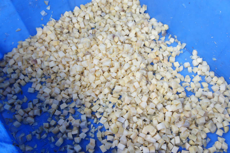 الخضار والفاكهة القاطع