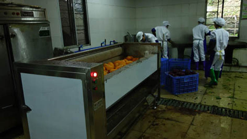 تقوم شركتنا بتوريد معدات تقشير وقطع لمصنع كوري 3