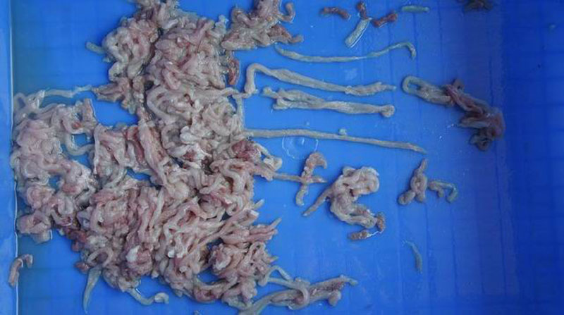 تخفيضات ستيك