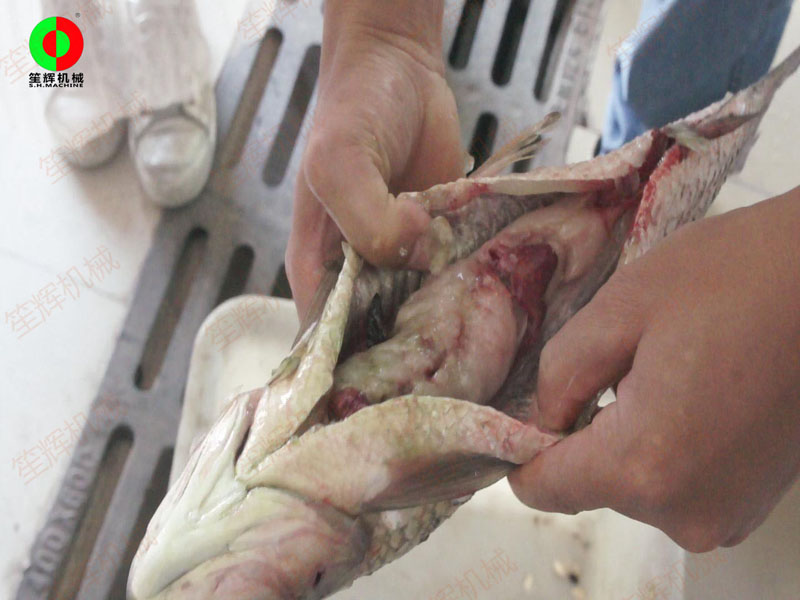 هناك الكثير من الشركات المصنعة آلة قطع الأسماك اليوم