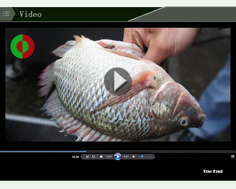 المعدات في تجهيز الأسماك