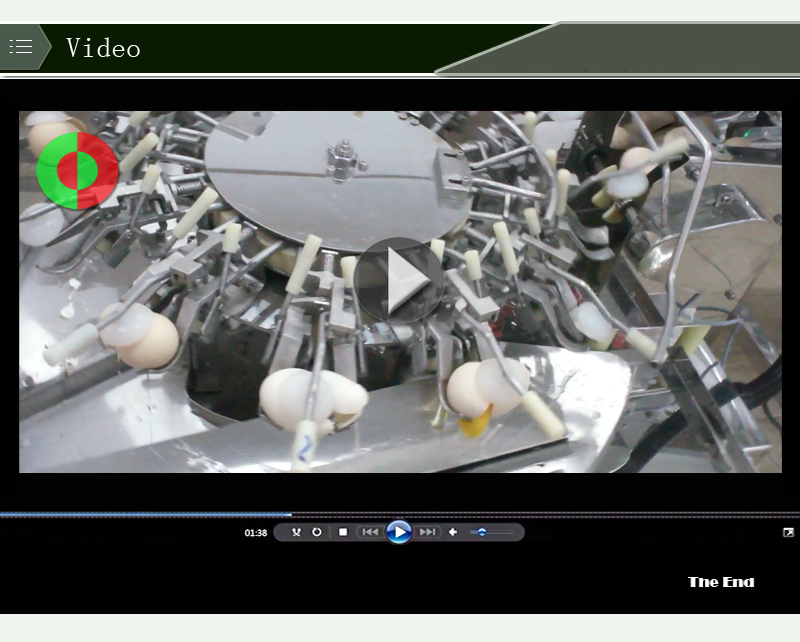 فاصل البيض 1