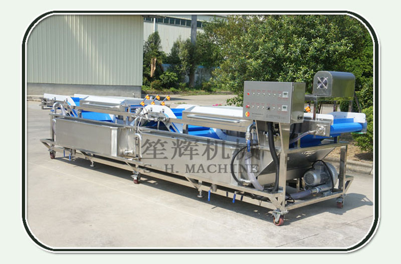 غسالة الفاكهة فقاعة