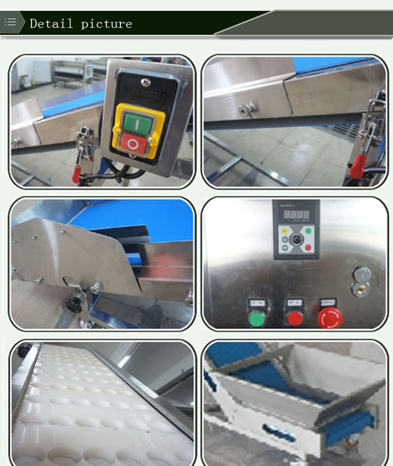 ناقل رقائق البطاطس