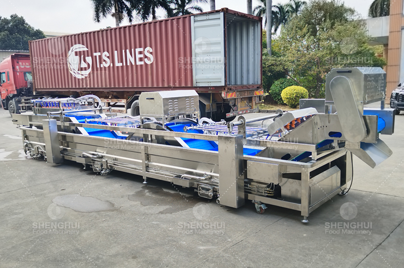 غسالة خضراوات (2)