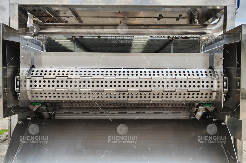 Lavadora de carne (15)