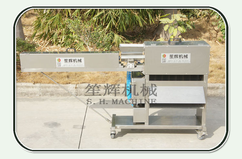 آلة تقشير الجزر الأوتوماتيكية للطعام1