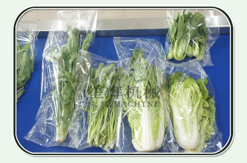 معدات الطعام