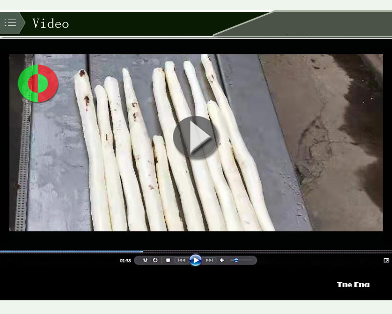 يام تقشير الجهاز