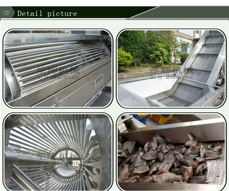 قشارة السمك