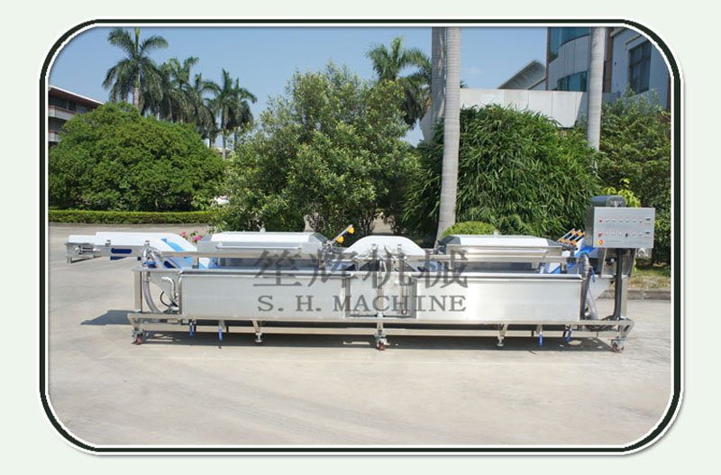 آلة تنظيف السلطة