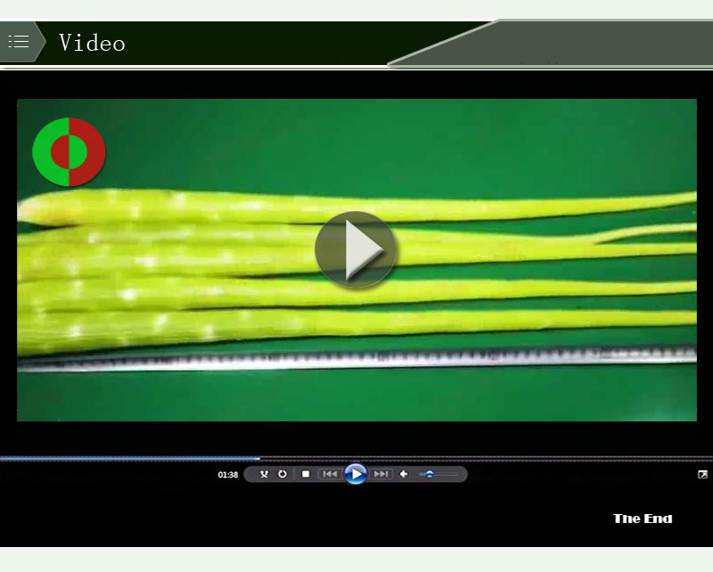 آلة تقشير تجارية