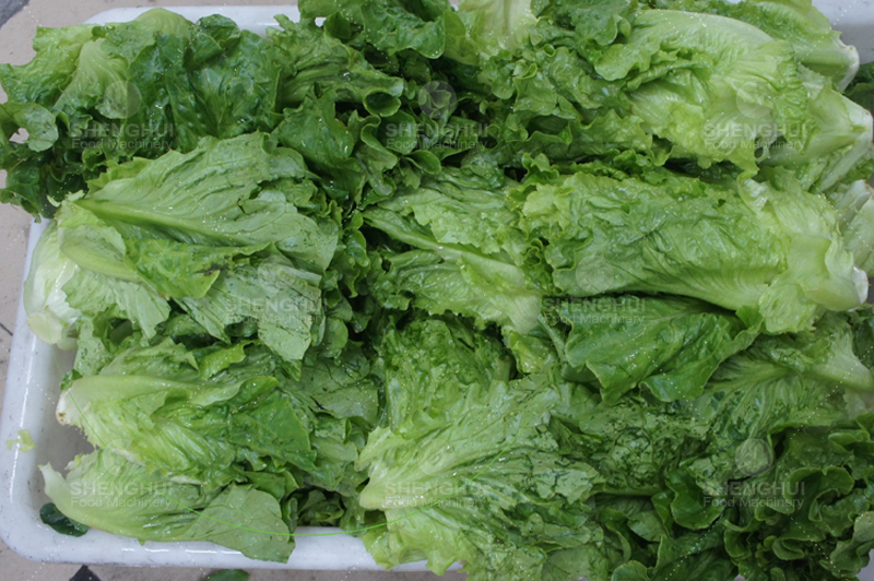 آلة تنظيف خضراوات (5)