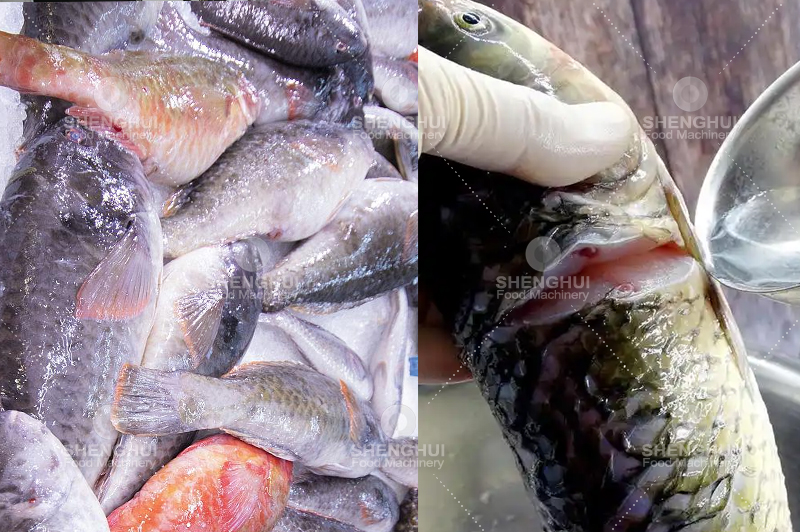 آلة غسل اللحوم (9)