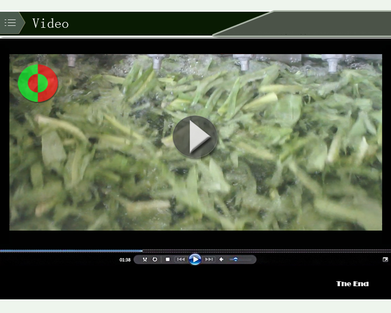 غسالة الخضروات آلة الغذاء