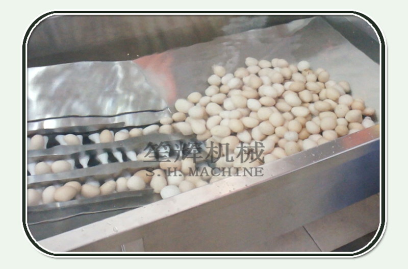 معدات تجهيز البيض