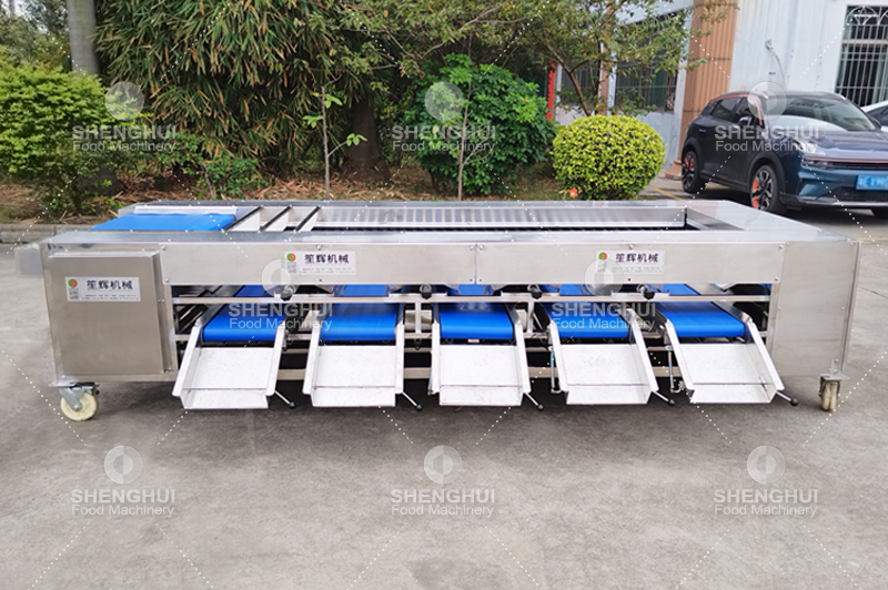 آلة فرز الفاكهة (12)