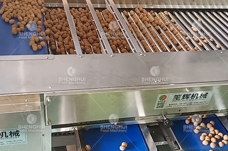 آلة فرز الفاكهة (2)