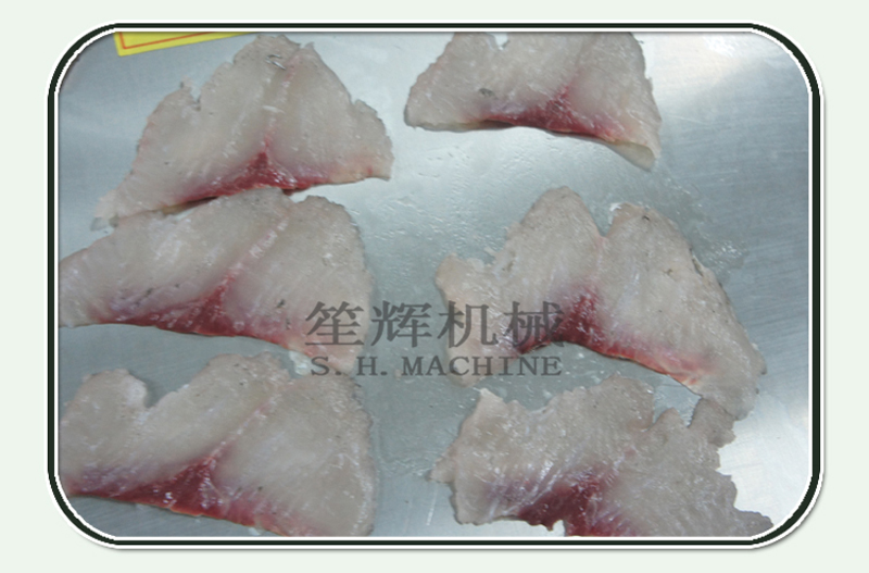 آلة قطع شرائح السمك-آلة الغذاء
