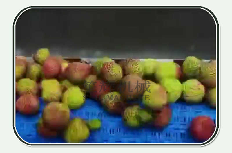 معدات الطعام