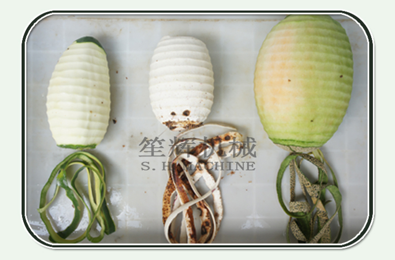 مقشرة القلقاس