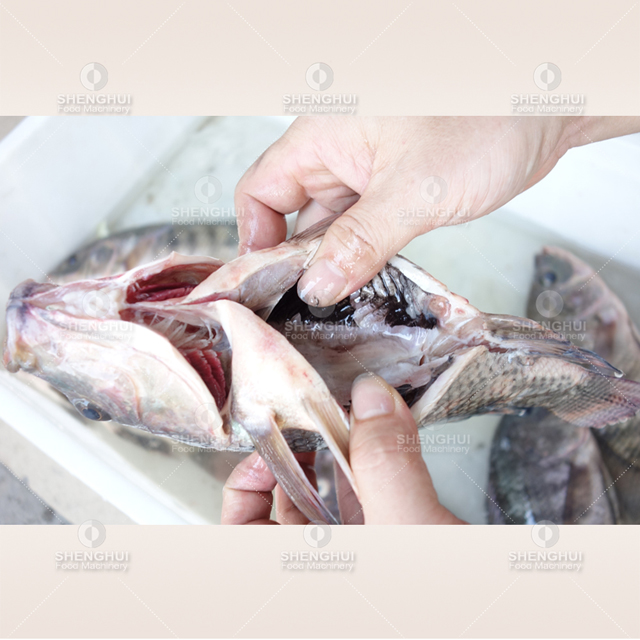 التلقائي آلة قطع السمك السمك آلة قطع السمك