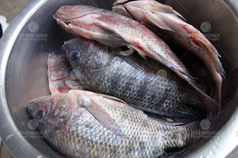 الأسماك معدات الحفر1