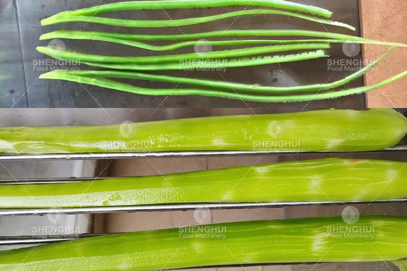 مقشرة الخس (11)