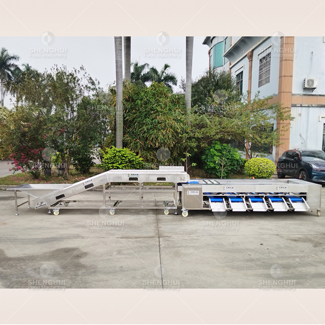 آلة فرز الفاكهة الأوتوماتيكية، آلة فرز الطماطم الكرزية، آلة فرز البطاطس، آلة فرز التوت الأزرق