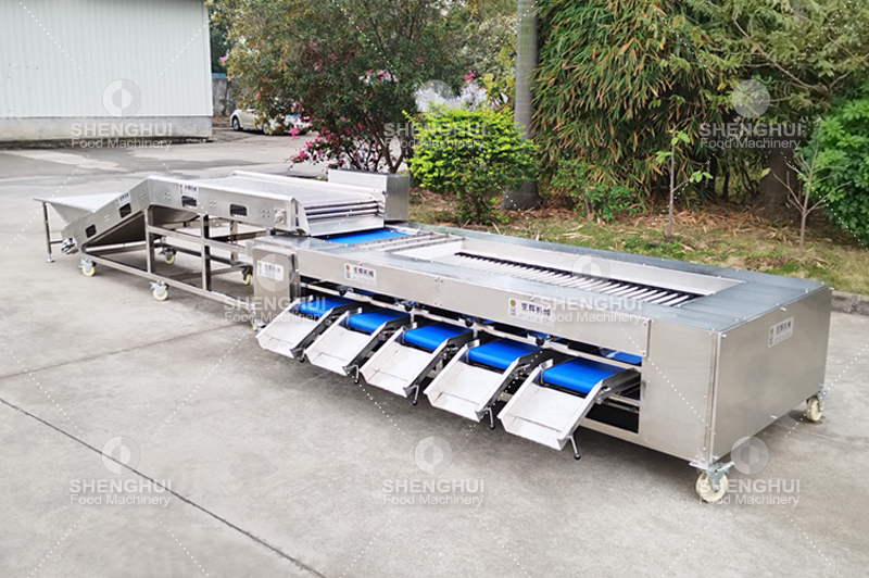 آلة فرز الفاكهة (11)