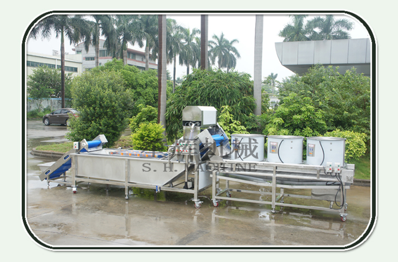 آلة تنظيف الليتشي