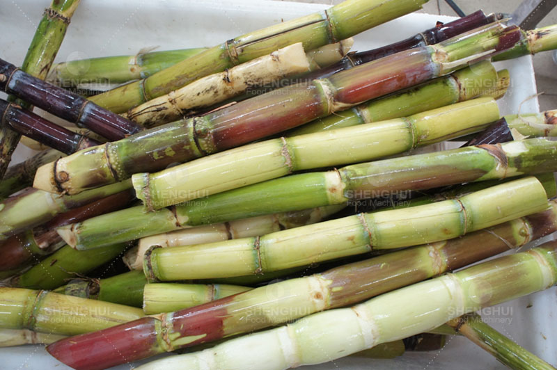 آلة معالجة قصب السكر