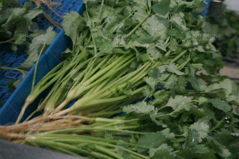 منظف الخضار